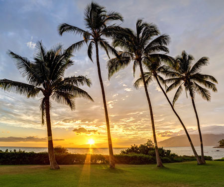 Maui, Hawaii - Live Beaches