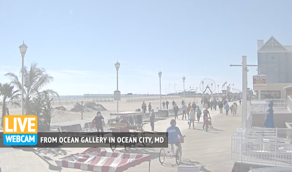 ocean gallery web cam