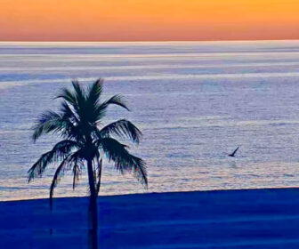 Sanibel Island Live Cam from Island Inn Beachfront Resort, Florida