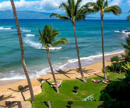 450px x 375px - Hawaii Webcams - Live Beaches