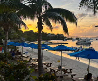 Live Webcam from The Beach Bar, Nightlife St. John, US Virgin Islands