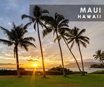 Hawaii, Maui, Hawaiian Islands, U.S.A.