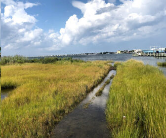 Long Beach Island Foundation Live Webcam