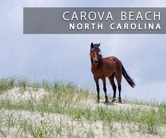 Carova Beach, NC